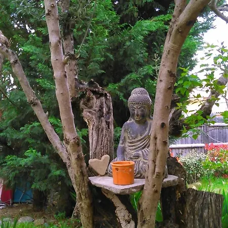 Maison Conviviale Avec Jardin A