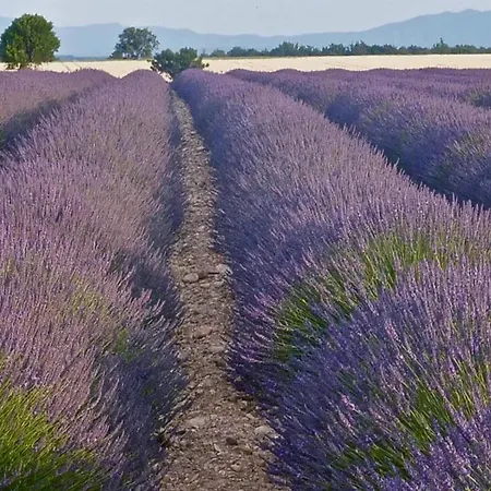 Maison Conviviale Avec Jardin A *